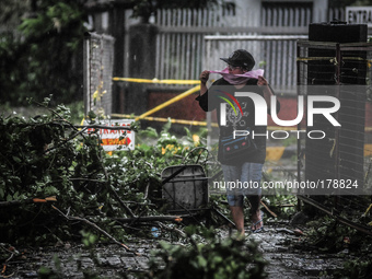 A woman walks through fallen tree branches along a road in Manila as Typhoon Glenda, international name Rammasun, pummels through the city o...