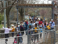 Families and school groups enjoy an early spring day at the Philadelphia Zoo, in Philadelphia, PA, on April 3, 2017. The popular tourist des...