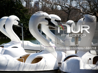 Swan-shaped peddle-boats are mourned on an early spring day in the Philadelphia Zoo, in Philadelphia, PA, on April 3, 2017. The popular tour...
