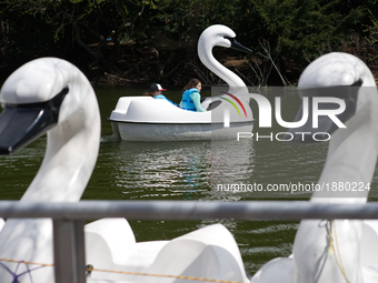 Visitors float in swan-shaped peddle-boats on an early spring day in the Philadelphia Zoo, in Philadelphia, PA, on April 3, 2017. The popula...
