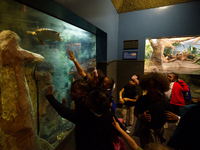 Visitors admire one of the indoor exhibits of the Philadelphia Zoo, in Philadelphia, PA, on April 3, 2017. The popular tourist destination,...