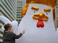 Organizers inflate a ten-foot tall chicken called 