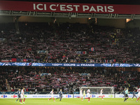 Paris Saint Germain's fans cheer during the French Cup, semi final football match between Paris Saint-Germain and AS Monaco on April 26, 201...
