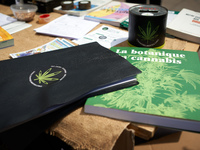 For the Global Marijuana March, supporters of legalization for medical and recreationnal use, run a stand on the main square of Toulouse, th...