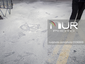 The large amount of tear gas thrown by the police against the demonstrators leaves a dust mark on the asphalt of Alameda Avenue, which some...