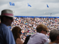 Fans with the iconic Panama hat are seen on the Centre Court of AEGON Championships at Queen's Club, London, on June 23, 2017. (