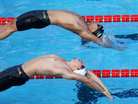 Gabor Balog (HUN) and Richard Bohus (HUN) compete in Men's 50 m Backstroke Final A during the international swimming competition Trofeo Sett...