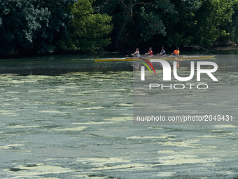 People practice canoe in the eutrophicated river Garonne. Due to warm weather, low waters and intensive use of fertilizers (mainly nitrogen...