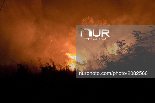 Rescue operations during night of firefighters on Vesuvius, Naples wildfires have quickly spread on Vesuvio, threatening hundreds of home, f...