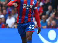 Crystal Palace's Jason Puncheon
during Premier League  match between Crystal Palace and Huddersfield Town at Selhurst Park Stadium, London,...