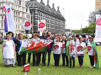 A demonstration took place at Parliament Square against the government's pay cap on public sector workers, London on September 6, 2017. The...