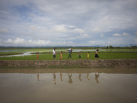 Rohingya ethnic minority people  looking for temporary makeshift camp after crossing over from Myanmar into the Bangladesh side of the borde...