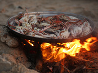 Palestinians cooking crabs on Gaza beach in the Shati refugee camp in Gaza City on September 10, 2017. (