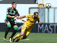 
Diego Falcinelli of Sassuolo and Giorgio Chiellini of Juventus  during the Serie A match between US Sassuolo and Juventus at Mapei Stadium...