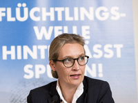 Main candidate for the federal elections of right-wing Alternative fuer Deutschland (Alternative for Germany, AfD) party Alice Weidel is pic...