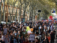 More than 15000 protesters took to the streets of Toulouse against the new Macron's reforms on the Work Code. It's a nation-wide action day...