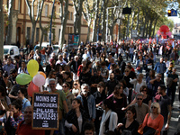More than 15000 protesters took to the streets of Toulouse against the new Macron's reforms on the Work Code. It's a nation-wide action day...