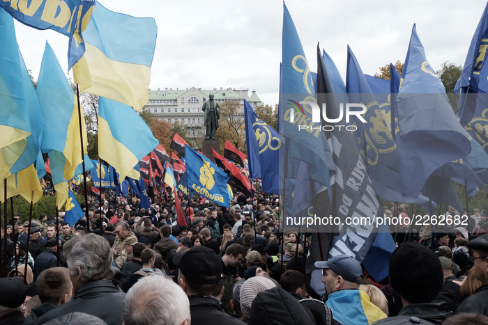Activists and supporters of the Azov civil corp, Svoboda (Freedom), Ukrainian nationalist parties and the far-right radical group Right Sect...