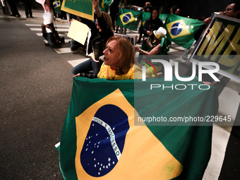 A woman hold a Brazilian flag in the Paulista Avenue during a right-wing nationalist protest against the President Dilma Rousseff, who is ru...
