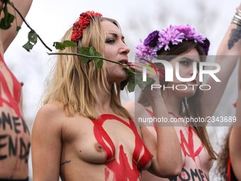Activists from women's rights movement Femen, including leader Inna Shevchenko (2nd L), stand topless while holding signs on the Place de la...