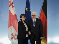 German foreign Minister Steinmeier meets Georgian Foreign Minister Maia Panjikidze to talk about relations of Georgia with Germany and the E...
