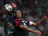 Portugal, Braga: Benfica's Brazilian defender Luisão (R) vies with Braga's Brazilian goalkeeper Matheus Magalhães (L) during the Premier Lea...