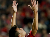Benfica's midfielder Nicolas Gaitan reacts during the UEFA Champions League group C football match between SL Benfica and Monaco at Luz Stad...