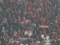 Olympiacos Supporters during the Uefa Champions League Group Stage football match n.4 JUVENTUS - OLYMPIACOS on 04/11/14 at the Juventus Stad...
