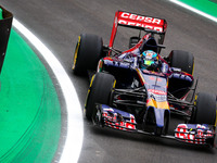 Toro Rosso's #25, J. Vergne, qualified in 16th position at the 2014 Brazilian GP of Formula 1ualify of the 2014 Brazilian GP of Formula 1 (