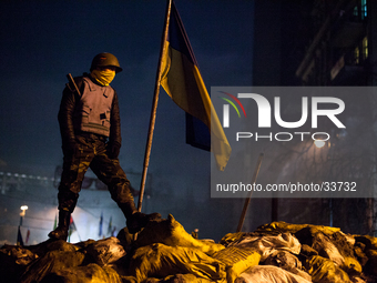 An anti-government protester stands on a barricade in Kiev, on February 15, 2014. Protesters occupying Kiev city hall said on February 15 th...
