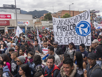 A general view of the crowd in the march of students for public education in Bogota, Colombia, on 28 November 2018. (