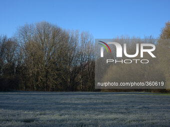 Frost envoloping plant life on December 3, 2014 in Heaton Mersey Common, Stockport, England. (
