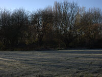 Frost envoloping plant life on December 3, 2104 in Heaton Mersey Common, Stockport, England. (