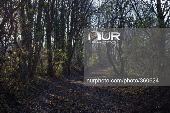 People walking through shadows cast by trees in mid-morning sunlight on December 3, 2014 in Heaton Mersey Common, Stockport, England. 