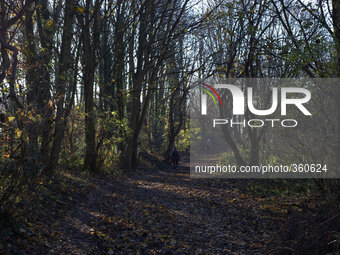 People walking through shadows cast by trees in mid-morning sunlight on December 3, 2014 in Heaton Mersey Common, Stockport, England. (