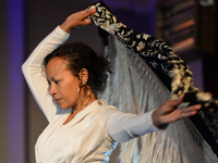 Dancer Juana Calzadilla during a rehearsal of 'Flamenco en Blanco y Negro', at the 2014 Dublin Flamenco Festival, St Michan's Church, Dublin...