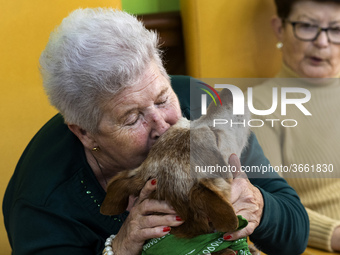 An old woman embraces Miko excitedly at the San Cipriano Residence in Soto de la Marina, Cantabria, Spain, on 16 January  in one of the ther...