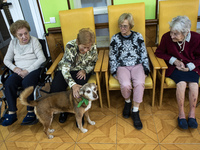 A group of old women from the San Cipriano residence, in Soto de la Marina, Cantabria, Spain, on 16 January , enjoy the visit of Miko, a dog...