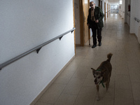 Miko accompanies an old man through the corridors of the San Cipriano Residence in Soto de la Marina, Cantabria, Spain, on 16 January  in on...