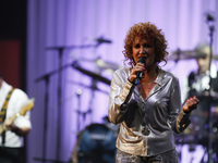 Fiorella Mannoia in concert at Lingotto Auditorium of Turin in December 19, 2014 .  (