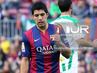 BARCELONA -20 de diciembre- SPAIN: Luis Suarez in the match between FC Barcelona and Cordoba CF, for the week 16 of the spanish Liga BBVA ma...