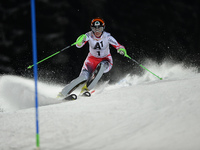 Nicole Hosp from Austria during the 6th Ladies' slalom, at Audi FIS Ski World Cup 2014/15, in Flachau. Flachau, Austria. January 13, 2015. P...