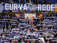 BARCELONA - january 25- SPAIN: Espanyol supporters in the match between RCD Espanyol and Almeria CF, corresponding to the week 20 of the spa...