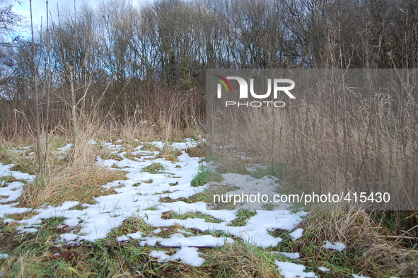 Melting snow on the Heaton Mersey Common, which was covered by snow, as a thaw sees temperatures start to rise on Saturday 31st January 2015...