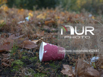 General waste discarded and littering the ground, in a Manchester suburb, on Tuesday 25th November 2014. -- The prevention of litter is a pu...