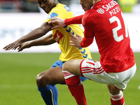 Benfica's forward Pizzi (R) vies for the ball with Estoril's defender Alex Kakuba (L)  during the Portuguese League  football match between...