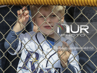 Matthew Baumhardt, age 3, watches the Tampa Bay Rays workout Saturday, February 28, 2015 at Charlotte Sports Park in Port Charlotte Florida....