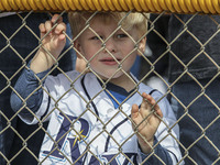 Matthew Baumhardt, age 3, watches the Tampa Bay Rays workout Saturday, February 28, 2015 at Charlotte Sports Park in Port Charlotte Florida....
