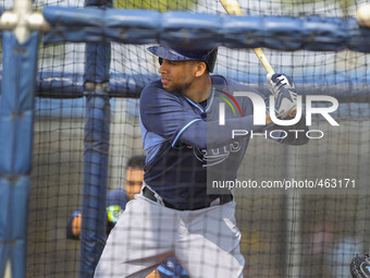Tampa Bay Rays first baseman James Loney (21) takes batting practice Saturday, February 28, 2015 at Charlotte Charlotte Sports Park in Port...