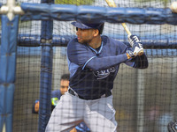 Tampa Bay Rays first baseman James Loney (21) takes batting practice Saturday, February 28, 2015 at Charlotte Charlotte Sports Park in Port...